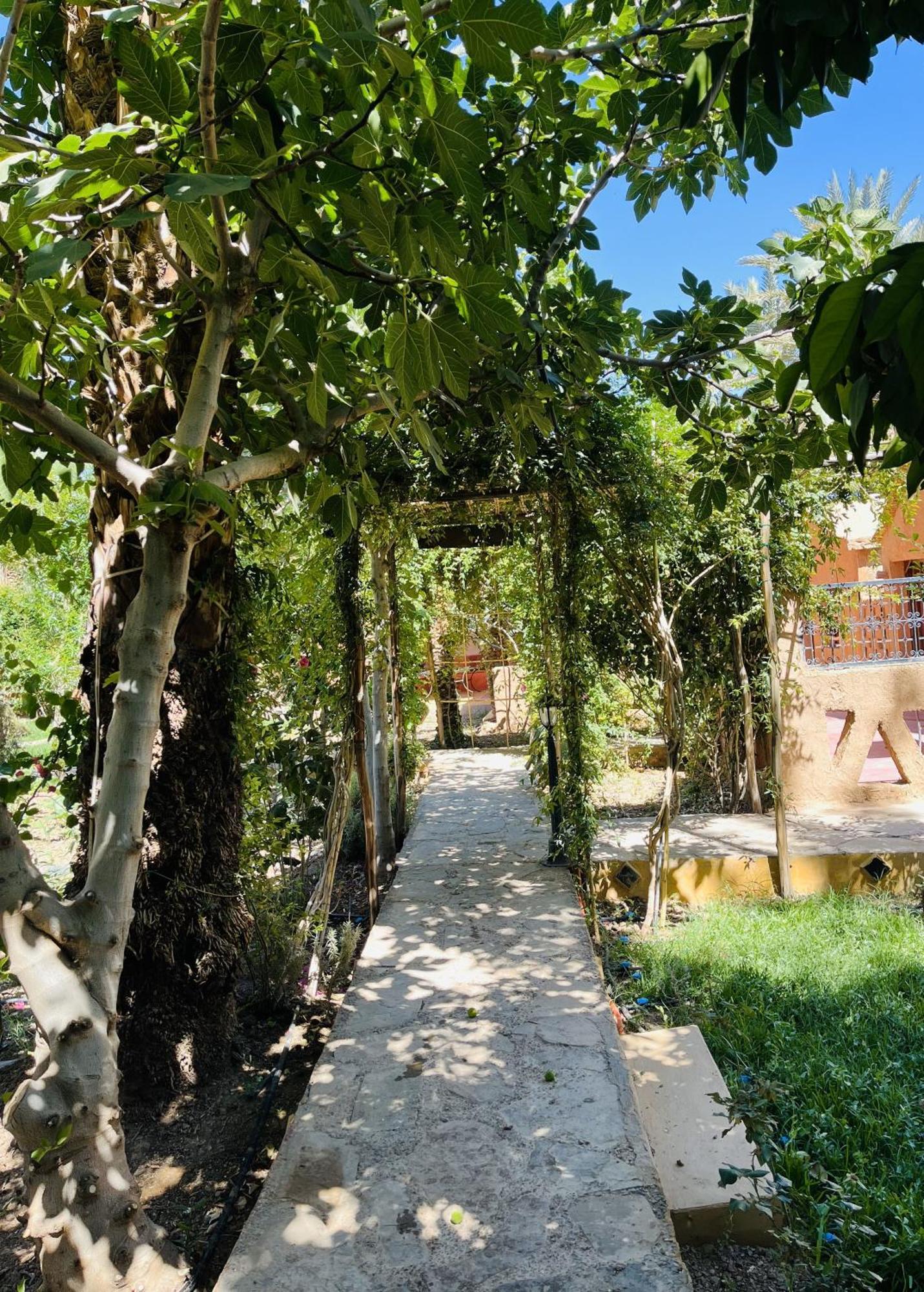 Riad Tabhirte Agdz Exterior photo