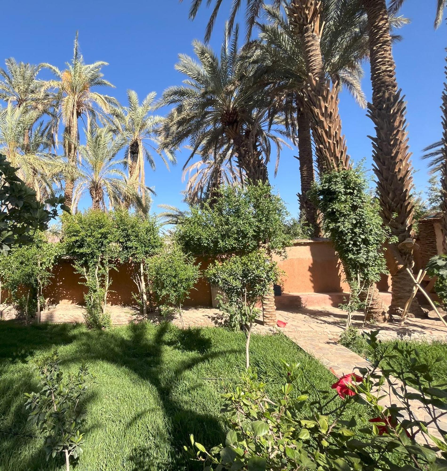 Riad Tabhirte Agdz Exterior photo