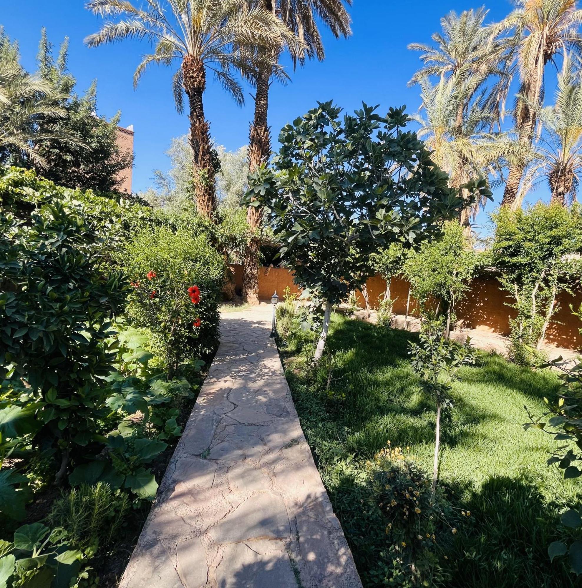 Riad Tabhirte Agdz Exterior photo
